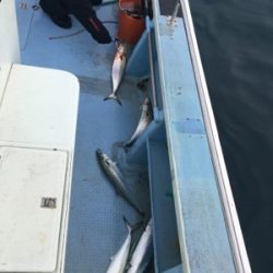 シーモンキー 釣果