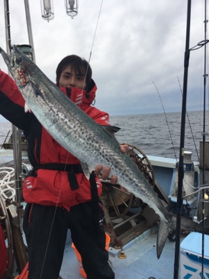 シーモンキー 釣果