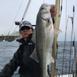 シーモンキー 釣果