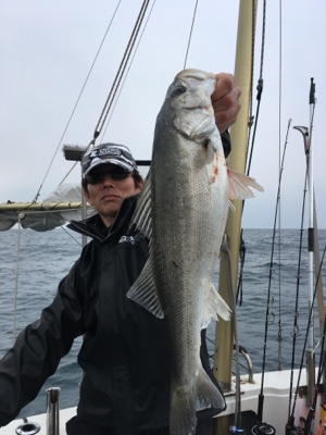 シーモンキー 釣果