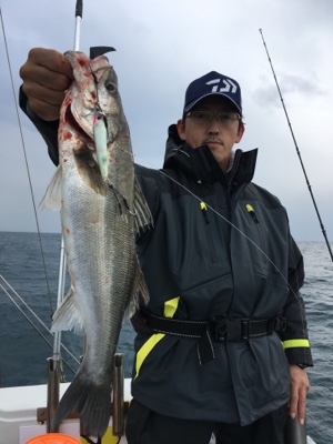 シーモンキー 釣果