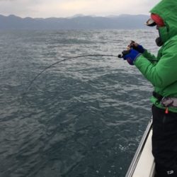 シーモンキー 釣果