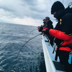 シーモンキー 釣果