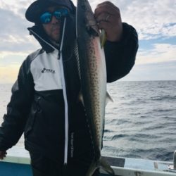 シーモンキー 釣果