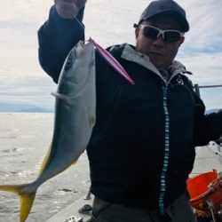 シーモンキー 釣果