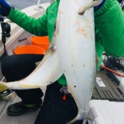 シーモンキー 釣果