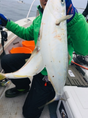 シーモンキー 釣果