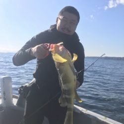 たいし丸 釣果