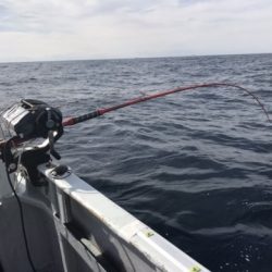 たいし丸 釣果
