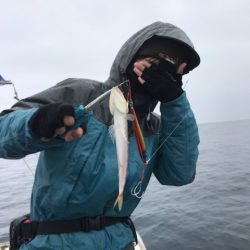 たいし丸 釣果