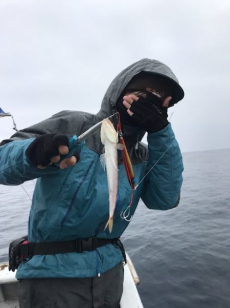 たいし丸 釣果