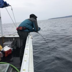 たいし丸 釣果