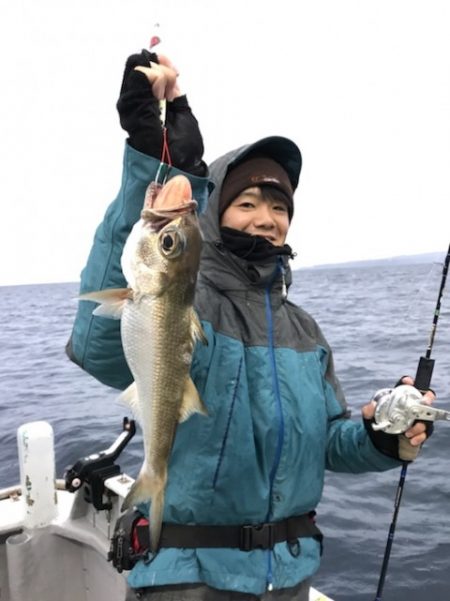 たいし丸 釣果