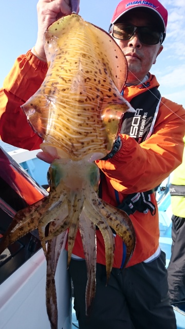 海晴丸 釣果