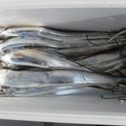 遊漁船 幸友丸 釣果