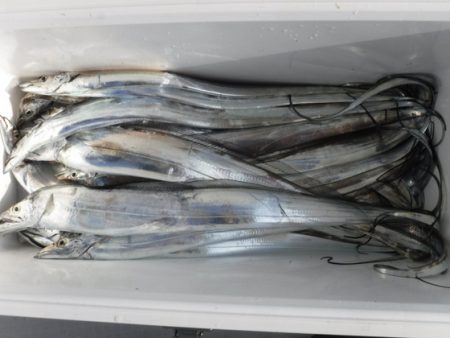 遊漁船 幸友丸 釣果