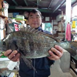 ふじや釣舟店 釣果