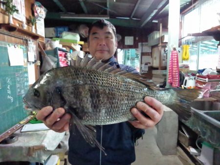 ふじや釣舟店 釣果