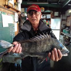 ふじや釣舟店 釣果