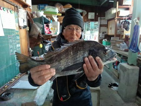 ふじや釣舟店 釣果