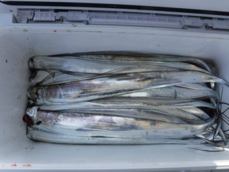 遊漁船 幸友丸 釣果