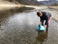 秩父フライフィールド 釣果