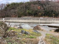 秩父フライフィールド 釣果