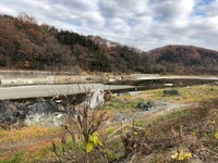 秩父フライフィールド 釣果