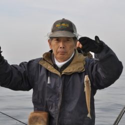 根岸丸 釣果