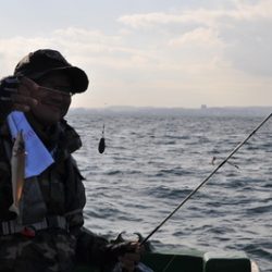 根岸丸 釣果