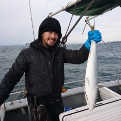 第二明康丸 釣果