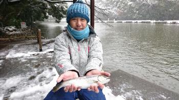 フィッシング サンクチュアリ 釣果