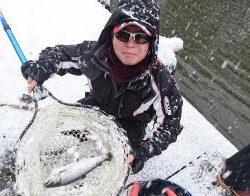 フィッシング サンクチュアリ 釣果