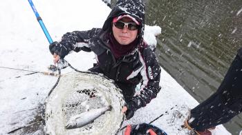 フィッシング サンクチュアリ 釣果