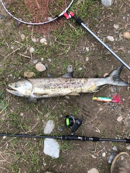 サーモン調査捕獲フィッシングレポート in 石川県 手取川【モコ氏連載 vol.4】