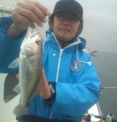 金沢八景鴨下丸 釣果