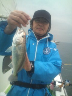 金沢八景鴨下丸 釣果