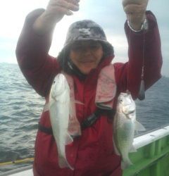 金沢八景鴨下丸 釣果