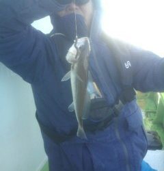 金沢八景鴨下丸 釣果