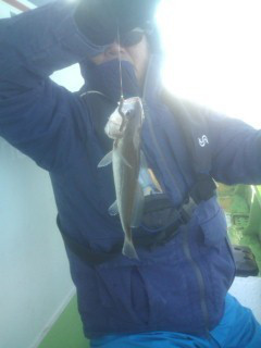 金沢八景鴨下丸 釣果