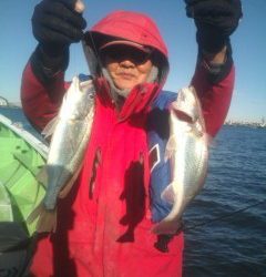 金沢八景鴨下丸 釣果