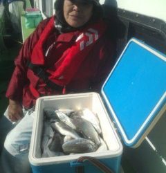 金沢八景鴨下丸 釣果