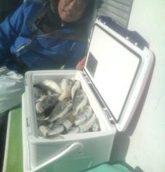 金沢八景鴨下丸 釣果