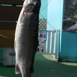 としまえんフィッシングエリア 釣果