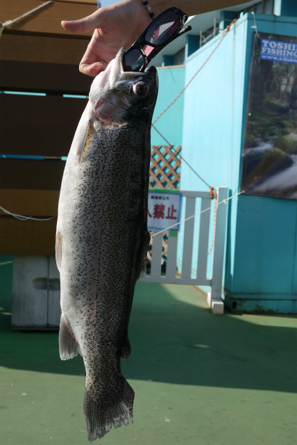 としまえんフィッシングエリア 釣果