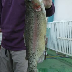 としまえんフィッシングエリア 釣果