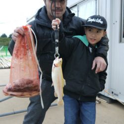 としまえんフィッシングエリア 釣果