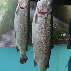 としまえんフィッシングエリア 釣果