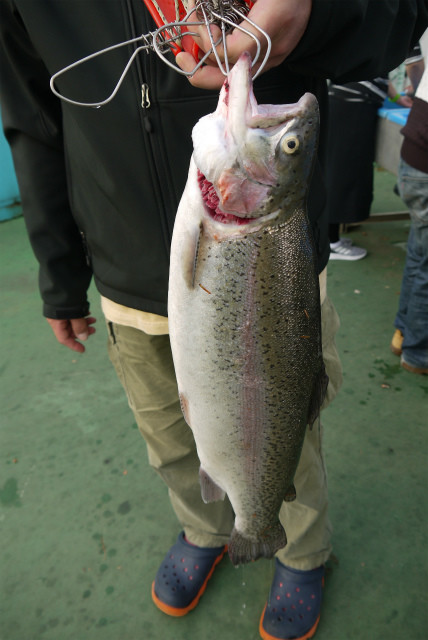 としまえんフィッシングエリア 釣果