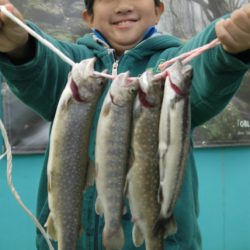 としまえんフィッシングエリア 釣果